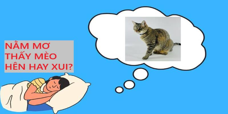 Chiêm bao nằm mơ thấy mèo mang ý nghĩa gì?