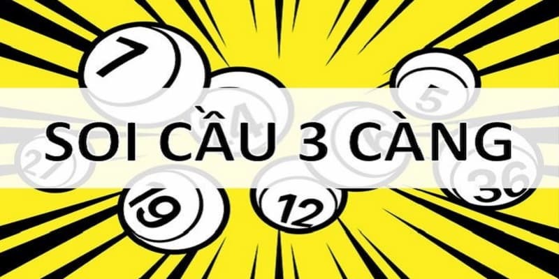 Đôi nét về 3 càng đề là gì?