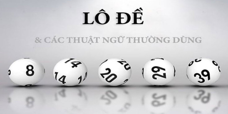 Đôi nét về thuật ngữ trong lô đề mà người chơi cần biết