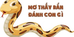 Giải Đáp Ngủ Mơ Thấy Rắn Đánh Số Gì Trong Lô Đề