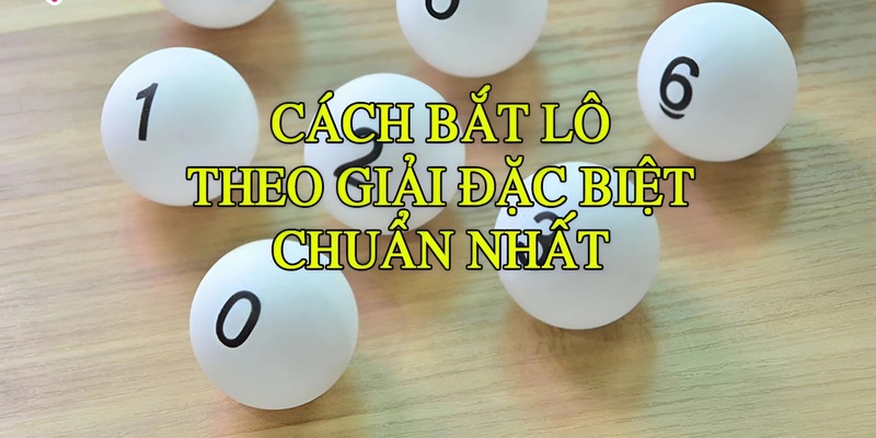 Kinh nghiệm soi cầu lô dựa vào giải đặc biệt