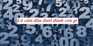 Lô Đầu Câm Hôm Sau Đánh Con Gì Để Trở Thành Tỷ Phú Siêu Tốc