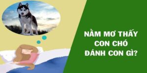 Ngủ mơ thấy chó đánh số mấy - Bỏ túi ngay con số may mắn nhất