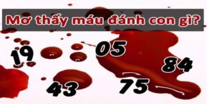Ngủ mơ thấy máu đánh số mấy - Bỏ túi con số lô đề ý nghĩa