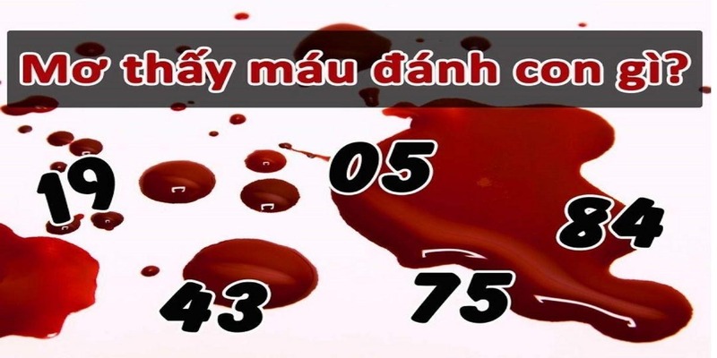 Ngủ mơ thấy máu đánh số mấy - Bỏ túi con số lô đề ý nghĩa