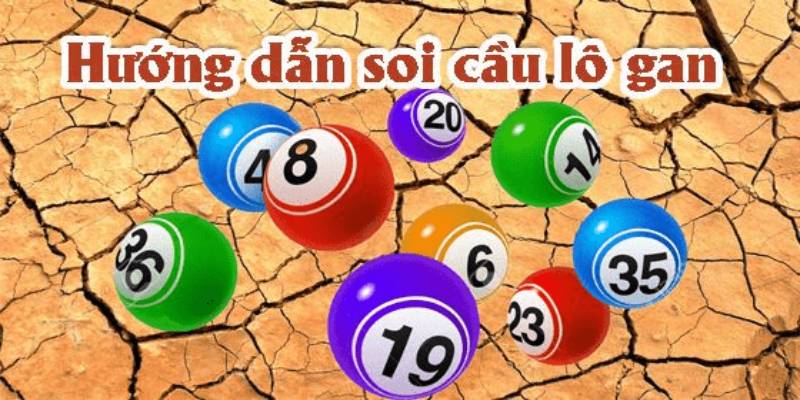 Những phương pháp lô gan chuẩn xác nhất cho người chơi mới