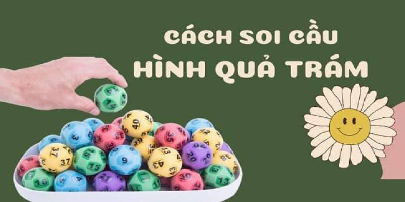 Vài cách đánh lô hình quả trám cực kỳ hiệu quả