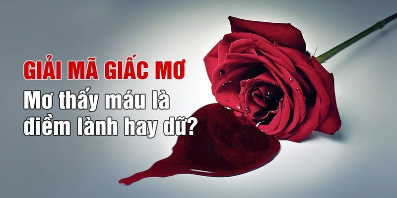 Ý nghĩa của việc ngủ mơ thấy máu đánh số mấy